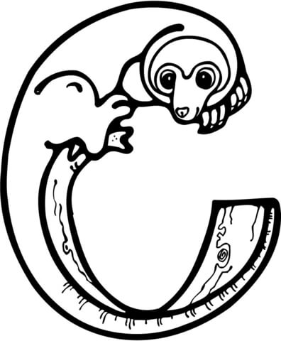 Letter C Is For Cuscus Coloring Page